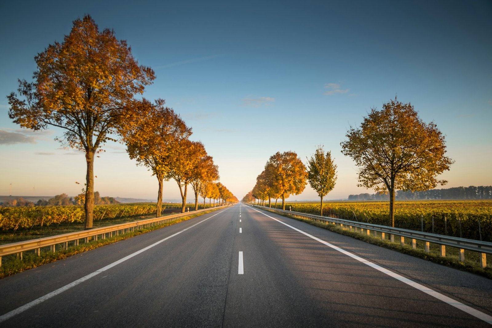 Is It Time For The Road Trip Of Your Life? Is It Time For The Road Trip Of Your Life?