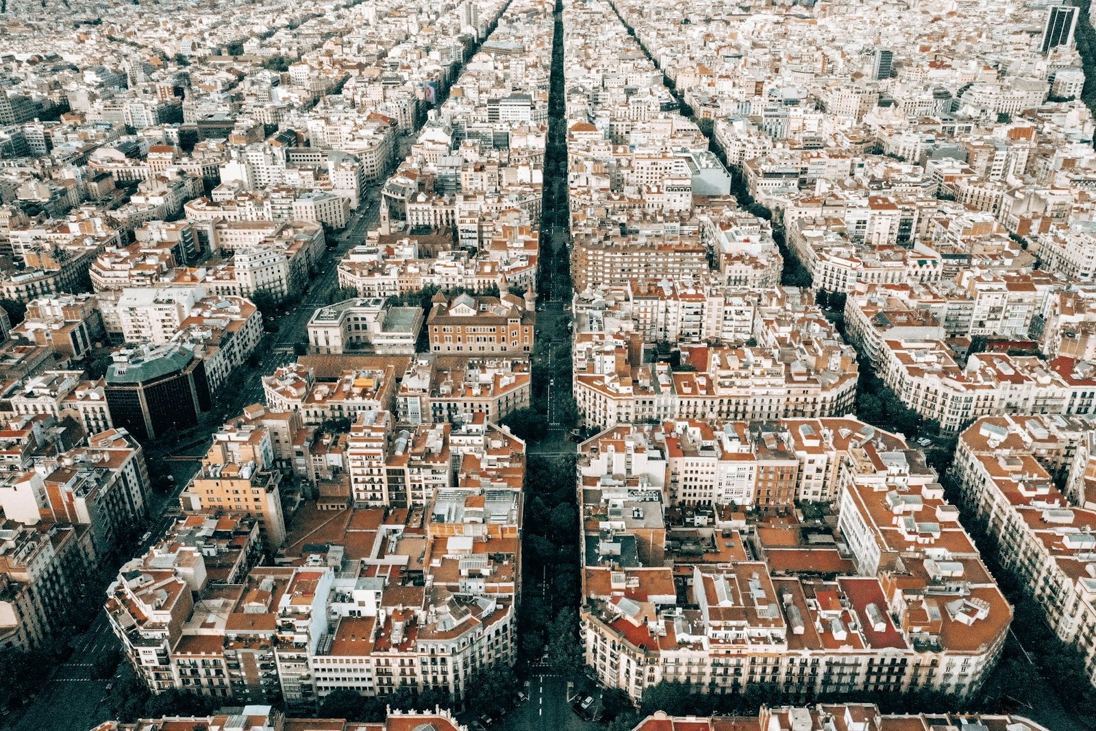 Discovering Barcelona: A Guide to Culture, Cannabis, and Coffee Shops for Tourists Discovering Barcelona: A Guide to Culture, Cannabis, and Coffee Shops for Tourists