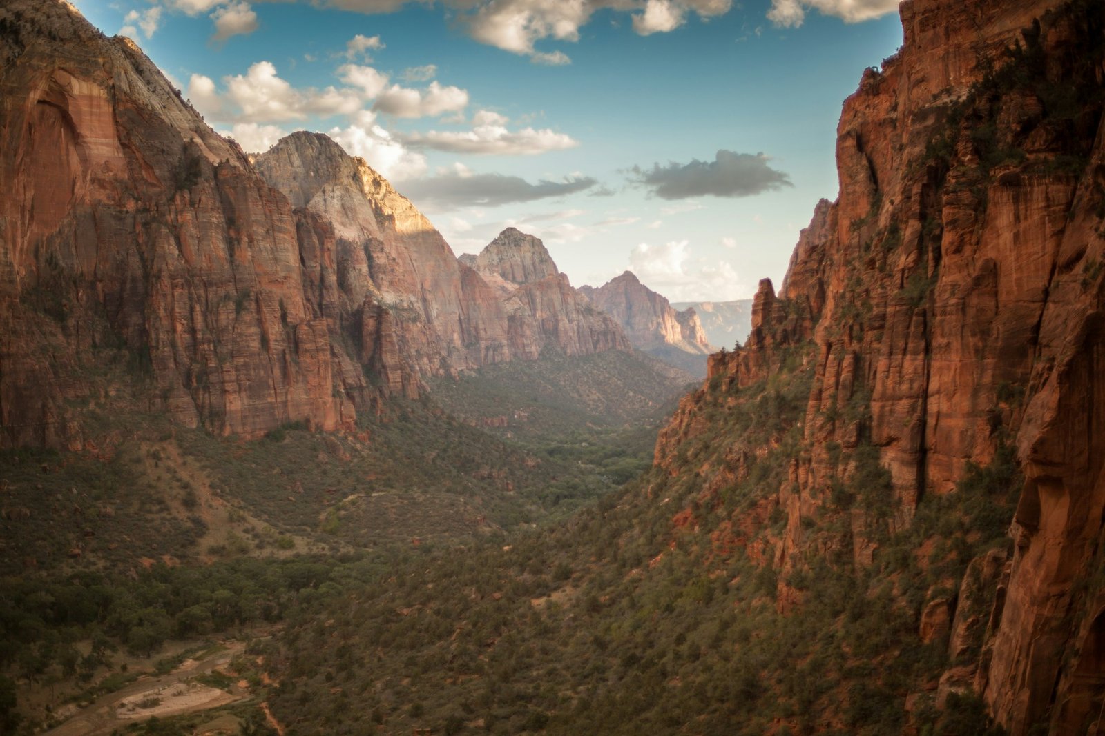 Discovering Zion: Why This National Park Should Be on Your Bucket List Discovering Zion: Why This National Park Should Be on Your Bucket List