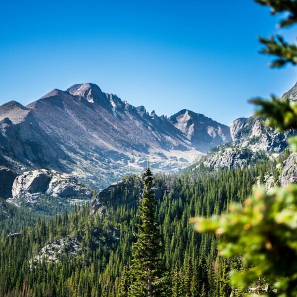 Skip the Tourist Traps and Visit Colorado Like a Local