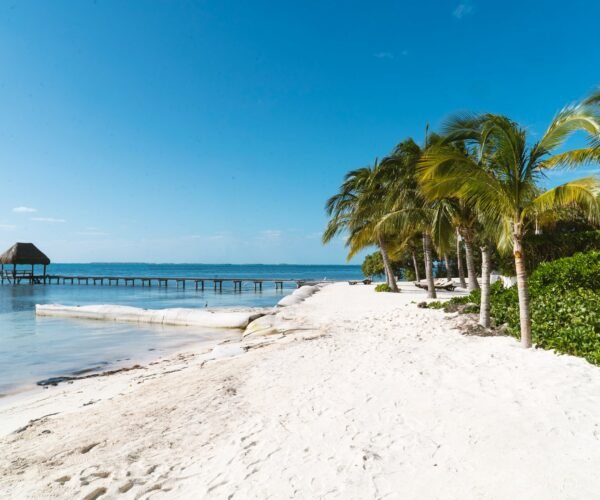 Discover Unforgettable Activities in Isla Mujeres at Garrafon Park – American Travel Blogger