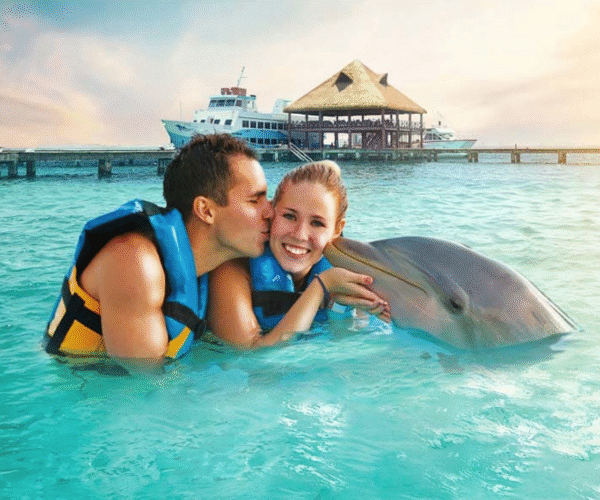 Discover an Unforgettable Experience at Dolphin Discovery Isla Mujeres – American Travel Blogger