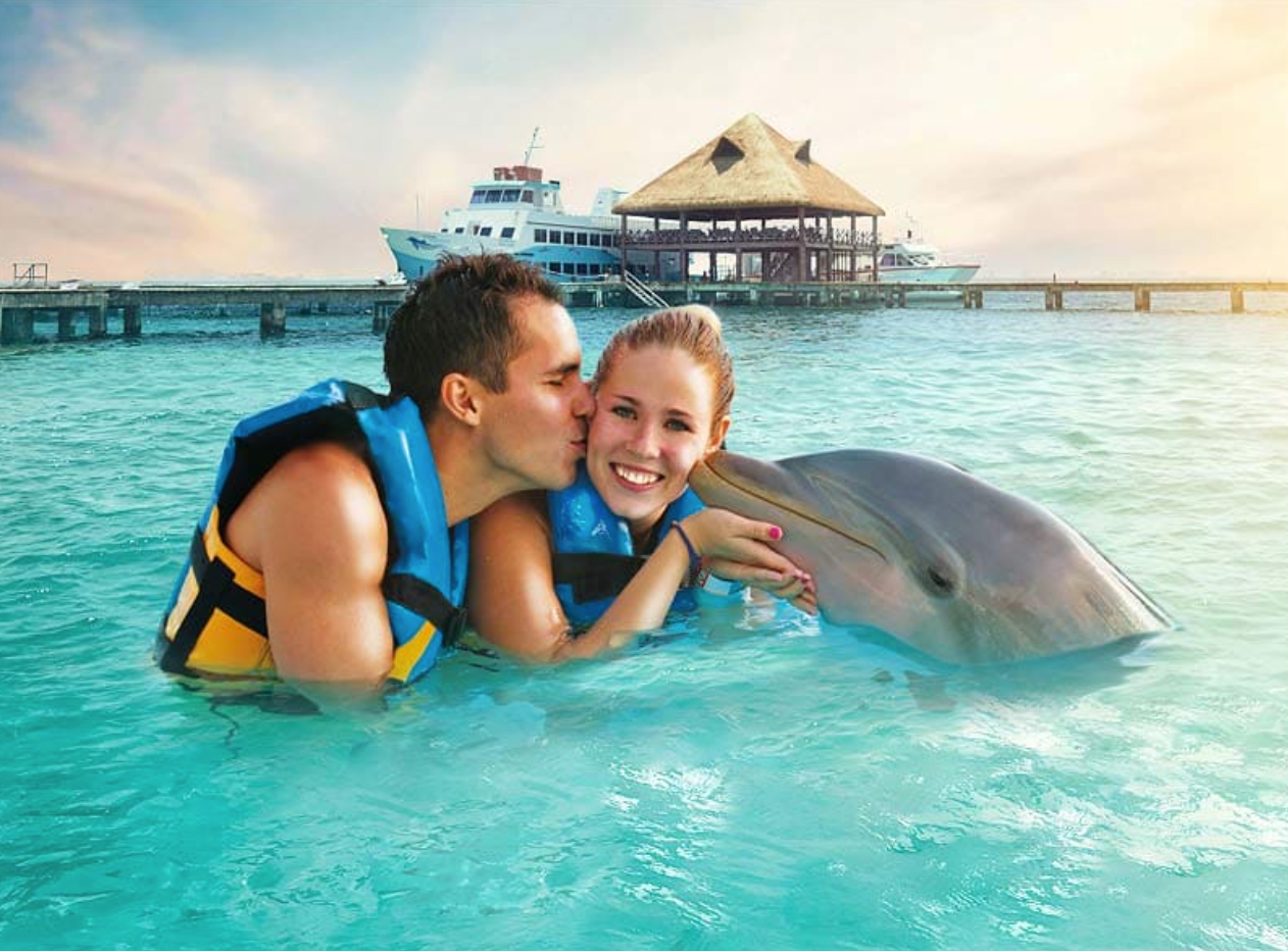 Discover an Unforgettable Experience at Dolphin Discovery Isla Mujeres – American Travel Blogger